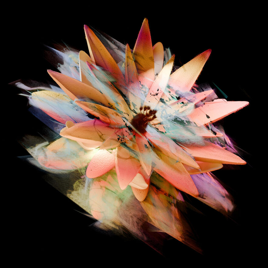 Fleur d'âme (Commission)